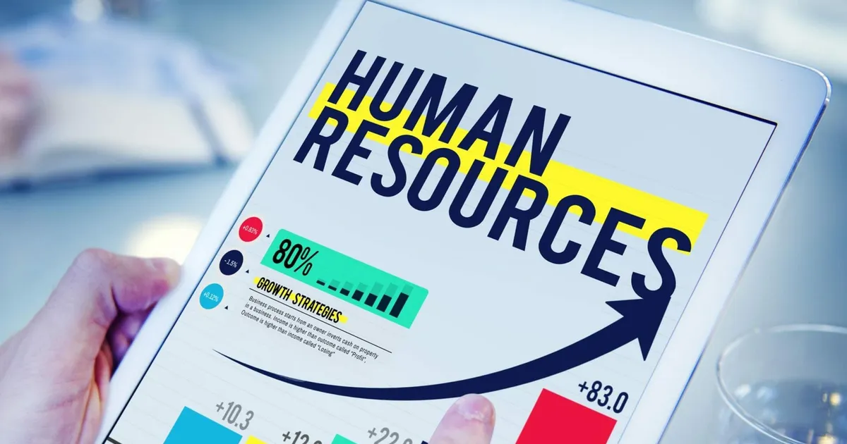 What does a good HR Management consultancy bring to your business?