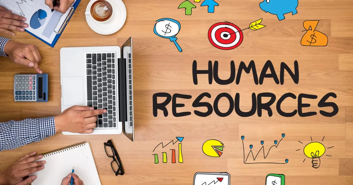 What is HR Software and How to choose the one best suited for your company?